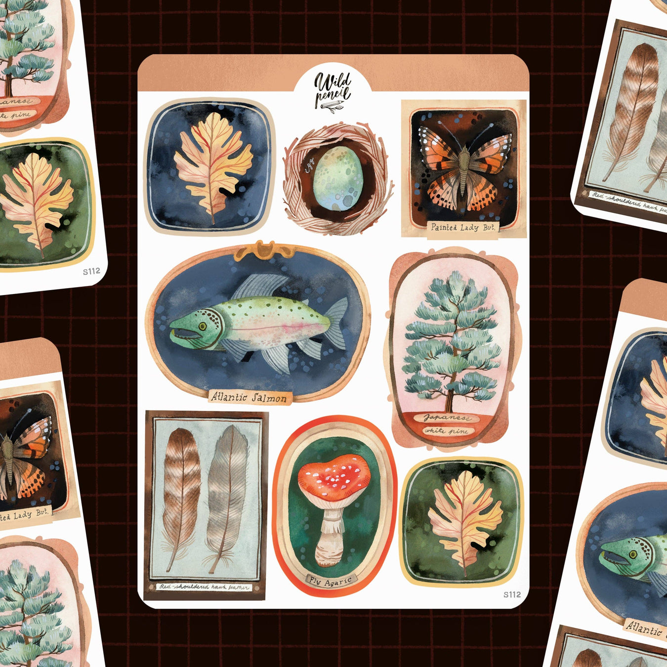 Wild Pencil Studio