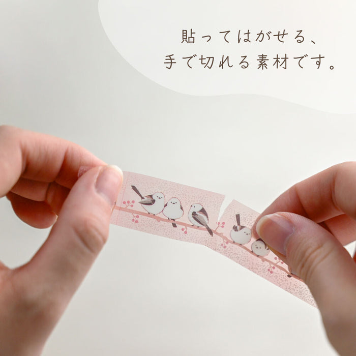Clear Tape - Shimaenaga