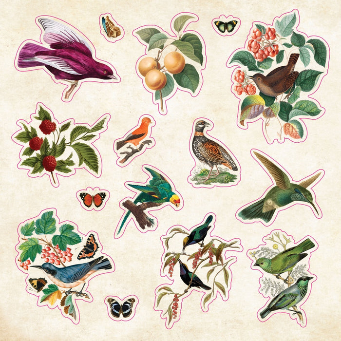 The Sticker Book of Curiosities - Over 750 Stickers!