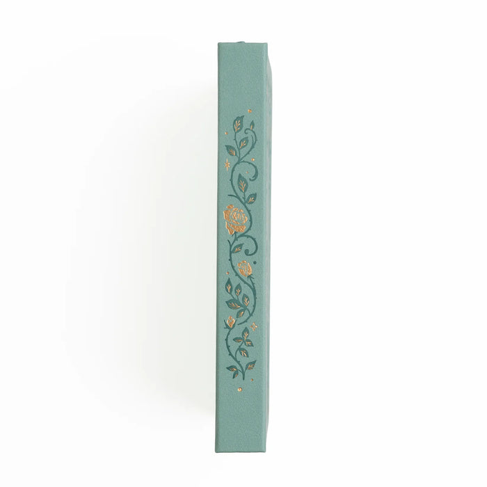 Books of Beauty A5 Reading Journal