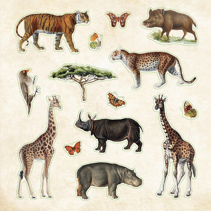 Zoological Ephemera Sticker Book - Over 680 Stickers!