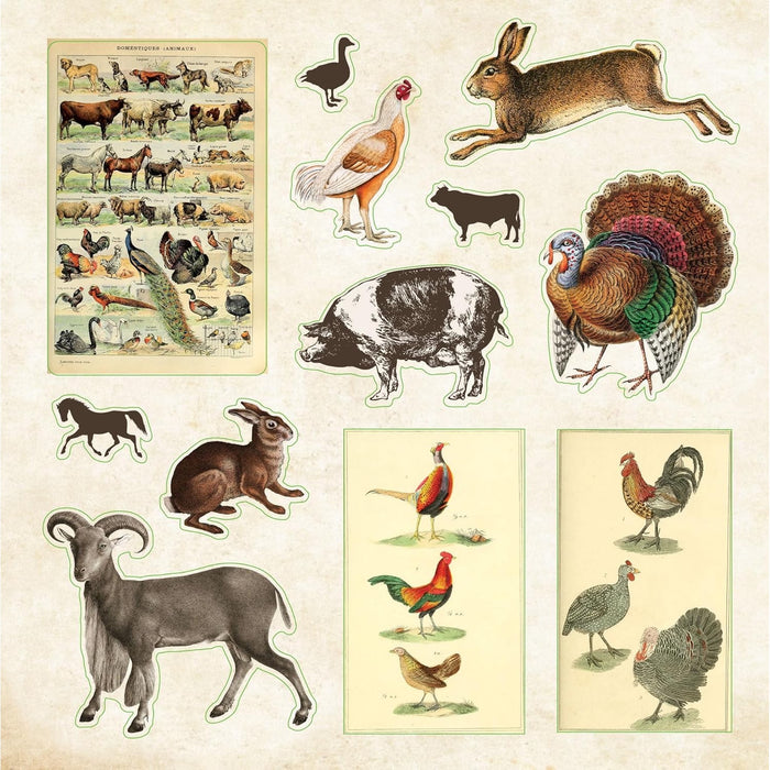 Zoological Ephemera Sticker Book - Over 680 Stickers!