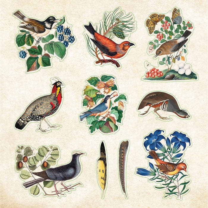 Zoological Ephemera Sticker Book - Over 680 Stickers!