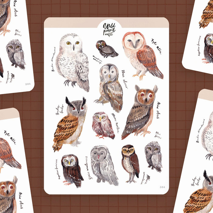 Sticker Sheet — Owls