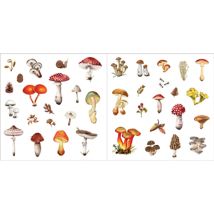 Bunches of Botanicals Sticker Book - Over 500 Stickers!