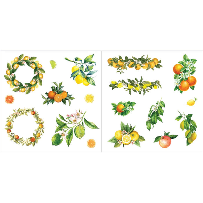 Bunches of Botanicals Sticker Book - Over 500 Stickers!