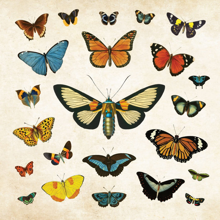 Mystical Ephemera Sticker Book - Over 900 Stickers!
