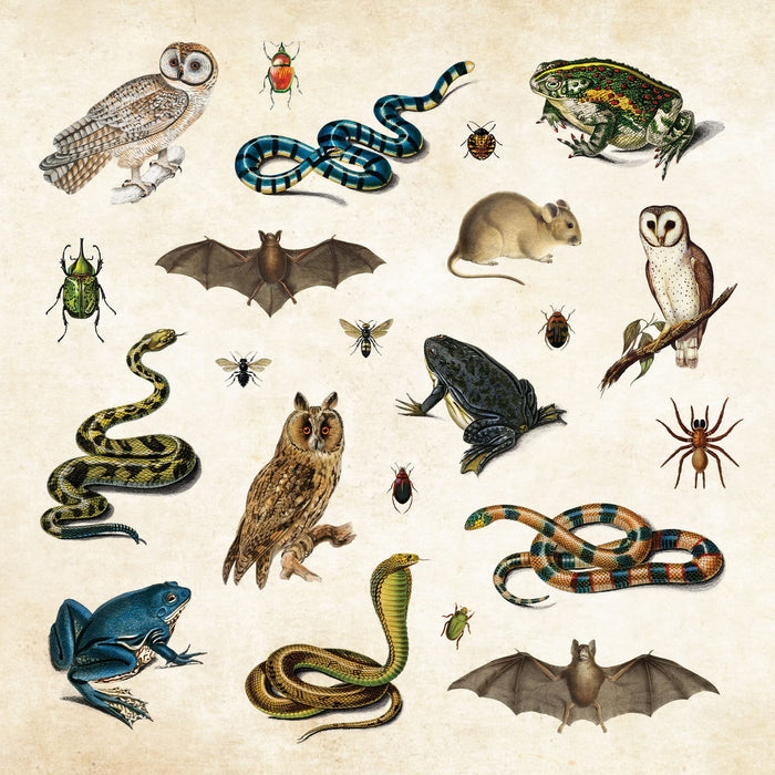 Mystical Ephemera Sticker Book - Over 900 Stickers!